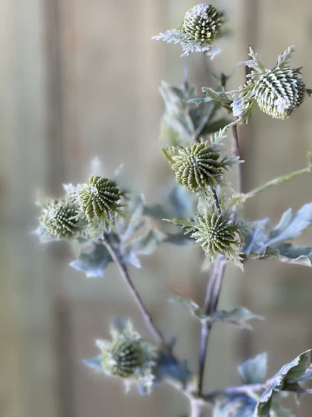 Field Flowers