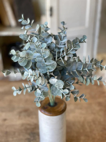 Pewter Sky Eucalyptus