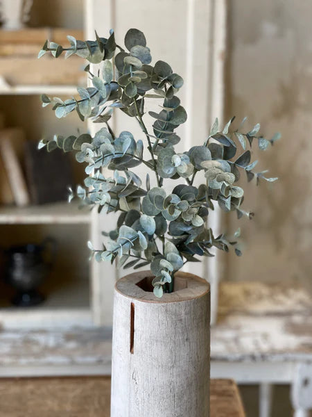 Pewter Sky Eucalyptus